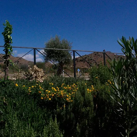 招待所 莫里纳旅馆 3*